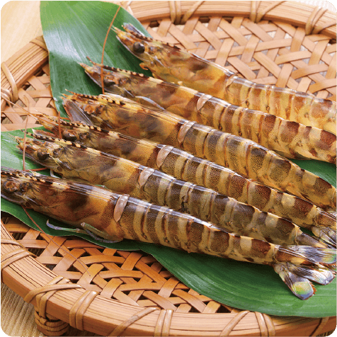 えび釣り大会（11/6）