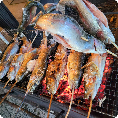 ニジマスつかみ取り