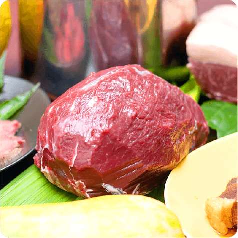 模擬銃展示・ジビエ